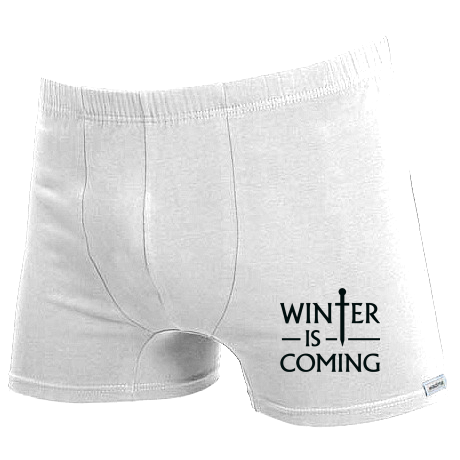 Bokserki „Winter Is Coming 3”