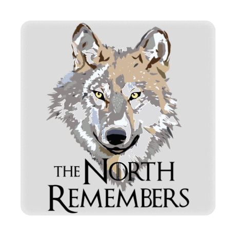 Magnes „The North Remembers”