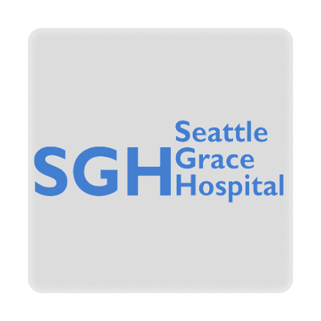 Magnes „Seattle Grace Hospital”