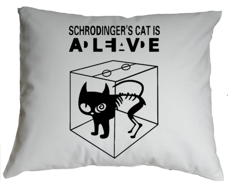 Poduszka „Schrodinger’s Cat Is Alive”