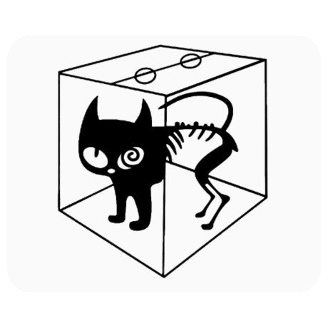 Podkładka pod mysz „Schrodinger’s Cat”