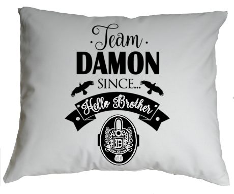 Poduszka „Team Damon”