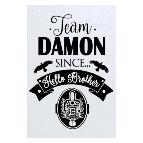 Blacha „Team Damon”