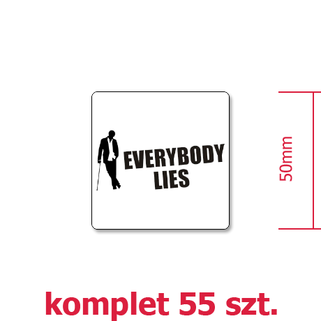 Wlepka „Everybody Lies”
