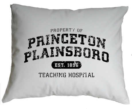 Poduszka „Princeton Plainsboro”