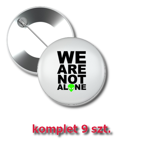 Przypinka „We Are Not Alone”