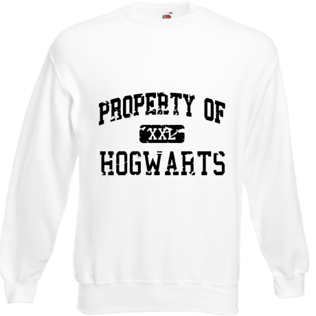 Bluza „Property of Hogwarts”