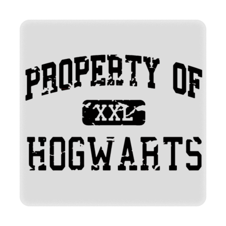 Magnes „Property of Hogwarts”