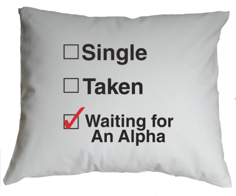 Poduszka „Waiting For An Alpha”