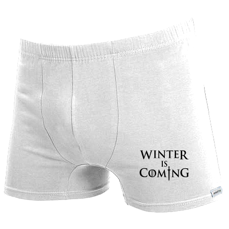 Bokserki „Winter Is Coming 2”